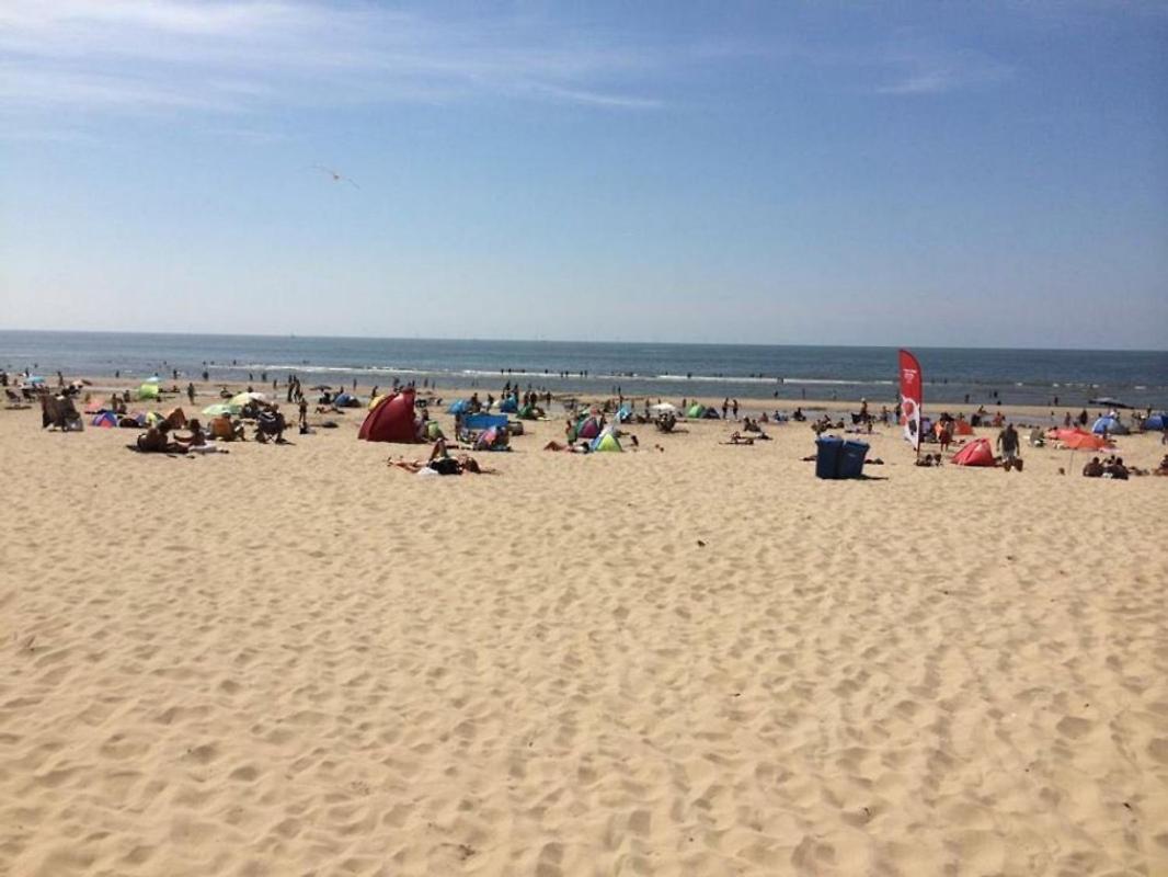 Strand83 Egmond aan Zee Exteriör bild