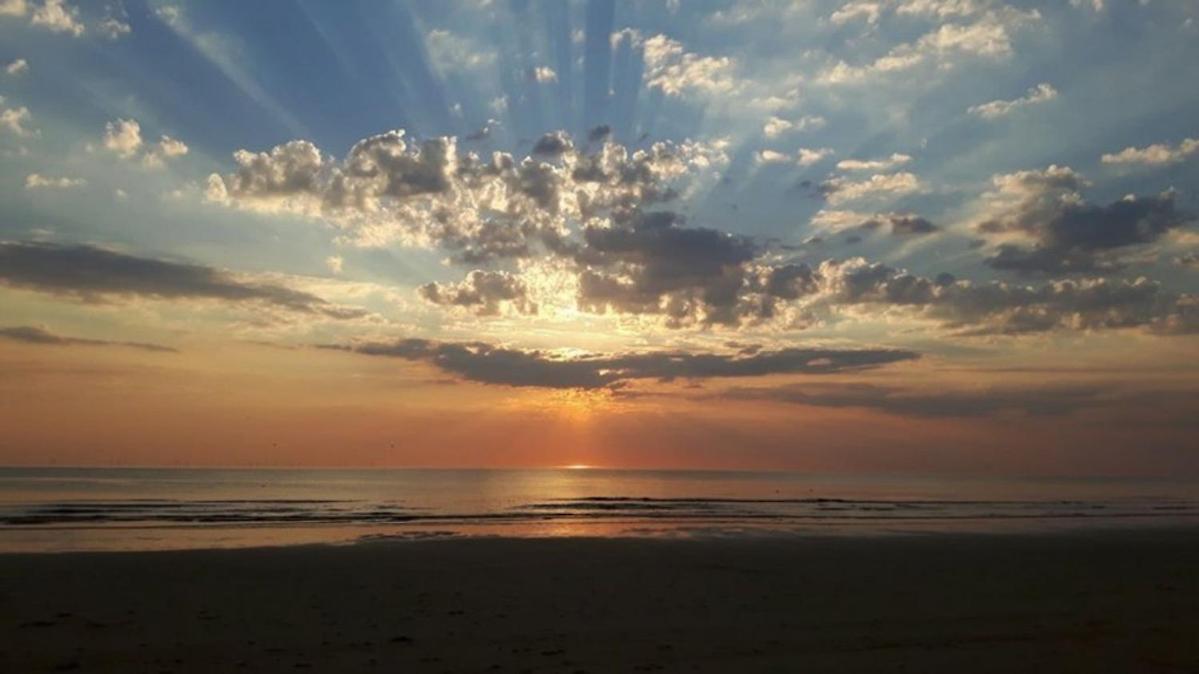 Strand83 Egmond aan Zee Exteriör bild