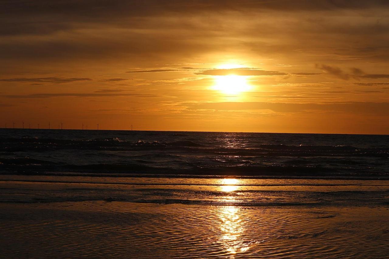 Strand83 Egmond aan Zee Exteriör bild