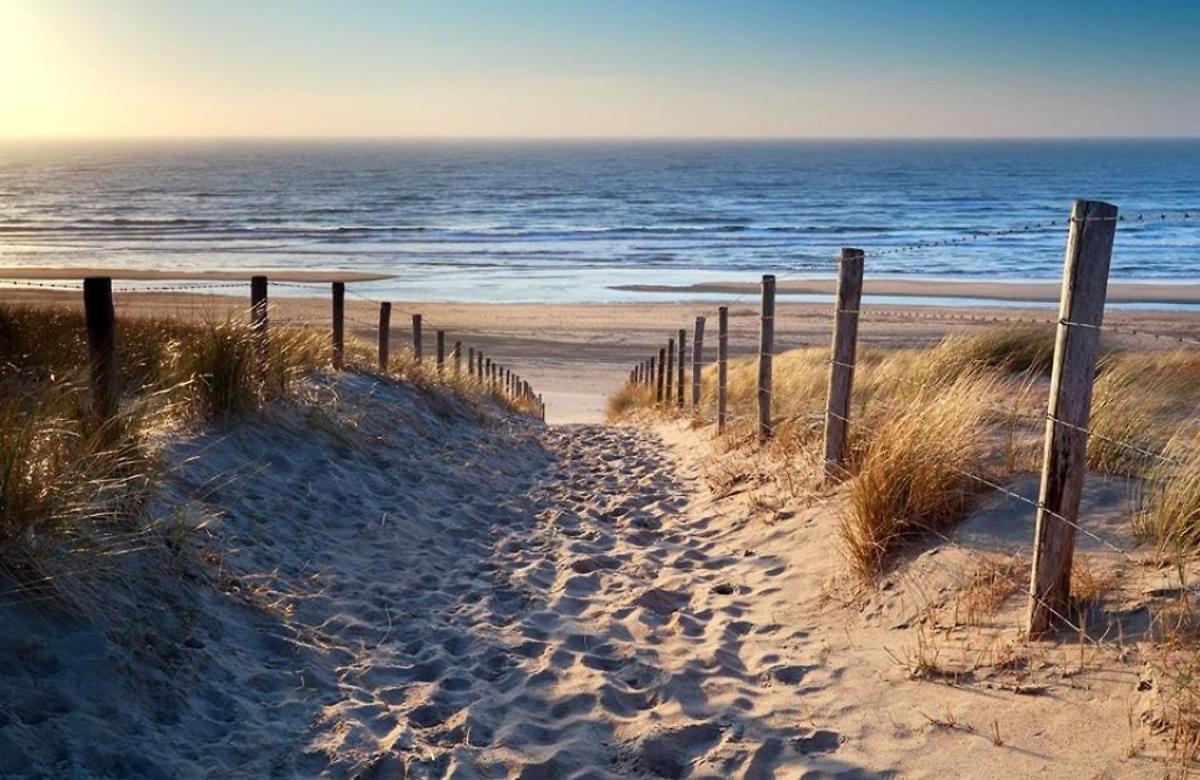 Strand83 Egmond aan Zee Exteriör bild